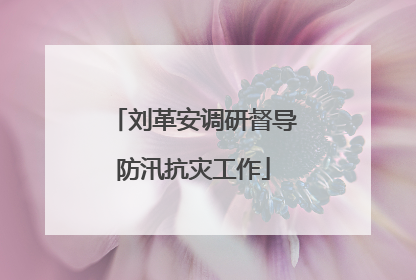 刘革安调研督导防汛抗灾工作