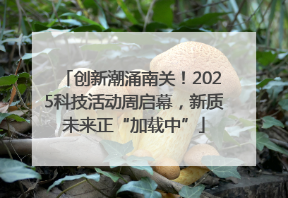 创新潮涌南关！2025科技活动周启幕，新质未来正“加载中”