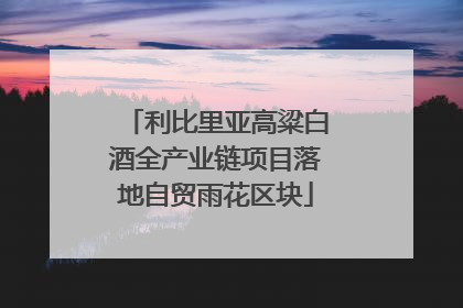 利比里亚高粱白酒全产业链项目落地自贸雨花区块