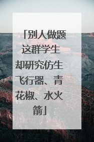 别人做题 这群学生却研究仿生飞行器、青花椒、水火箭
