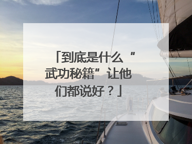 到底是什么“武功秘籍”让他们都说好？