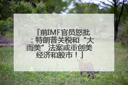 前IMF官员怒批：特朗普关税和“大而美”法案或重创美经济和股市！