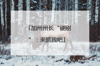 加州州长“硬刚”：来抓我吧