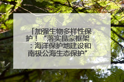 加强生物多样性保护！“落实昆蒙框架：海洋保护地建设和南极公海生态保护”主题论坛将举办