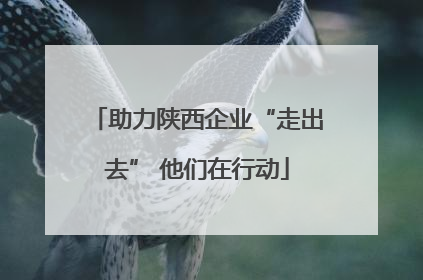 助力陕西企业“走出去” 他们在行动