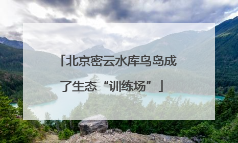 北京密云水库鸟岛成了生态“训练场”