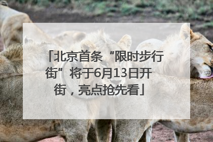 北京首条“限时步行街”将于6月13日开街，亮点抢先看