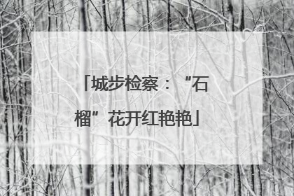 城步检察：“石榴”花开红艳艳