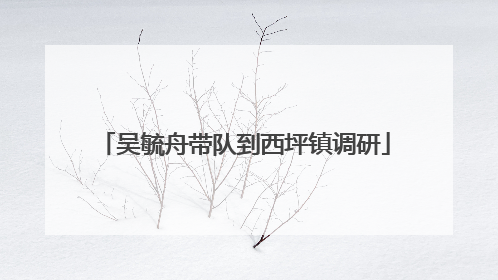 吴毓舟带队到西坪镇调研