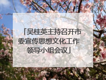 吴桂英主持召开市委宣传思想文化工作领导小组会议