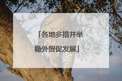 各地多措并举稳外贸促发展