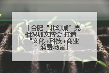 合肥“北幻城”亮相深圳文博会 打造“文化+科技+商业”消费场景