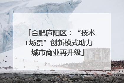 合肥庐阳区：“技术+场景”创新模式助力城市商业再升级