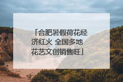 合肥暑假荷花经济红火 全国多地花艺文创销售旺