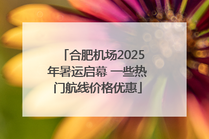 合肥机场2025年暑运启幕 一些热门航线价格优惠