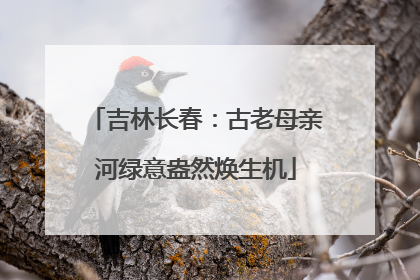 吉林长春：古老母亲河绿意盎然焕生机