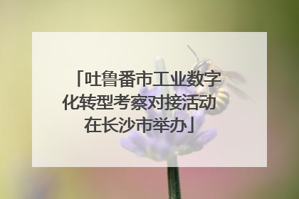 吐鲁番市工业数字化转型考察对接活动在长沙市举办