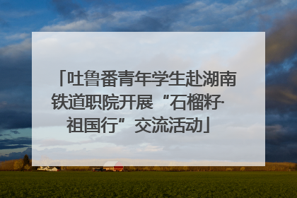 吐鲁番青年学生赴湖南铁道职院开展“石榴籽·祖国行”交流活动