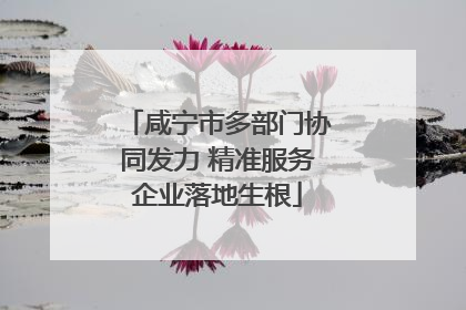 咸宁市多部门协同发力 精准服务企业落地生根