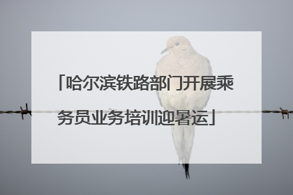哈尔滨铁路部门开展乘务员业务培训迎暑运