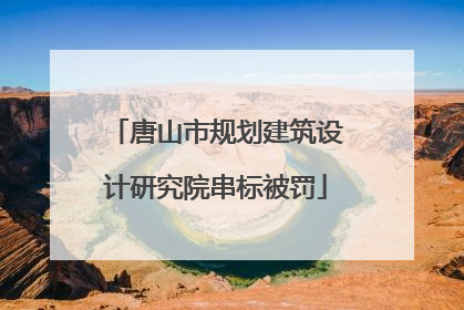 唐山市规划建筑设计研究院串标被罚