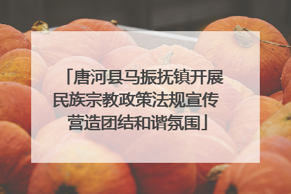唐河县马振抚镇开展民族宗教政策法规宣传 营造团结和谐氛围