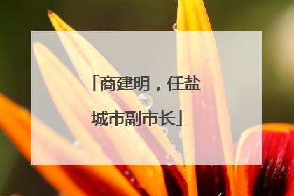 商建明，任盐城市副市长