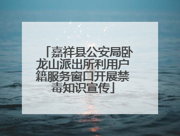 嘉祥县公安局卧龙山派出所利用户籍服务窗口开展禁毒知识宣传