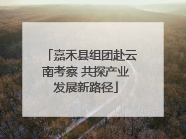 嘉禾县组团赴云南考察 共探产业发展新路径