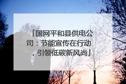 国网平和县供电公司：节能宣传在行动，引领低碳新风尚