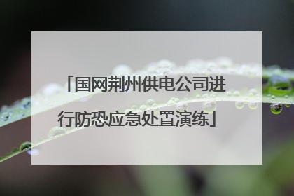 国网荆州供电公司进行防恐应急处置演练