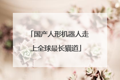 国产人形机器人走上全球最长猫道