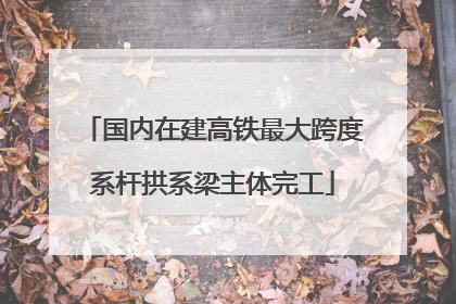国内在建高铁最大跨度系杆拱系梁主体完工
