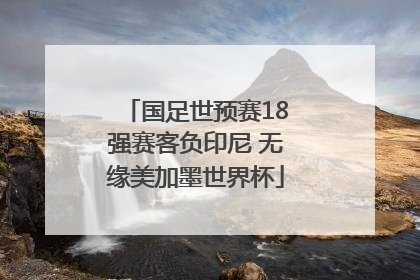 国足世预赛18强赛客负印尼 无缘美加墨世界杯
