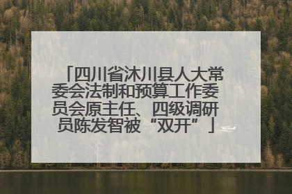 四川省沐川县人大常委会法制和预算工作委员会原主任、四级调研员陈发智被“双开”