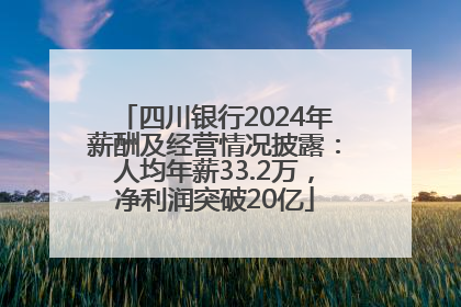 四川银行2024年薪酬及经营情况披露：人均年薪33.2万，净利润突破20亿