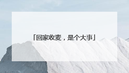 回家收麦，是个大事