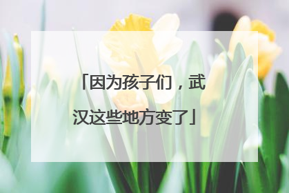 因为孩子们，武汉这些地方变了