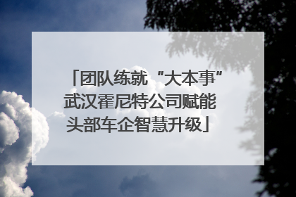 团队练就“大本事” 武汉霍尼特公司赋能头部车企智慧升级