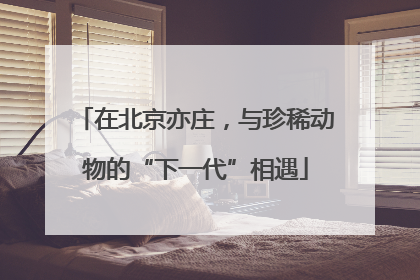 在北京亦庄，与珍稀动物的“下一代”相遇