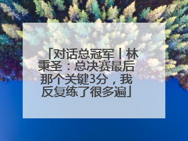 对话总冠军丨林秉圣：总决赛最后那个关键3分，我反复练了很多遍