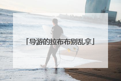 导游的拉布布别乱拿
