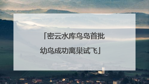 密云水库鸟岛首批幼鸟成功离巢试飞