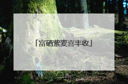富硒紫麦喜丰收