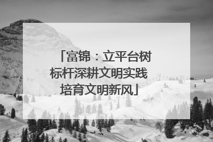 富锦：立平台树标杆深耕文明实践培育文明新风