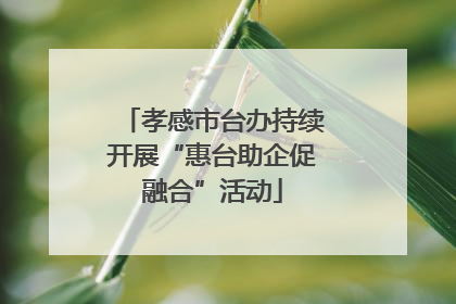 孝感市台办持续开展“惠台助企促融合”活动