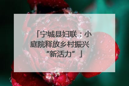 宁城县妇联：小庭院释放乡村振兴“新活力”