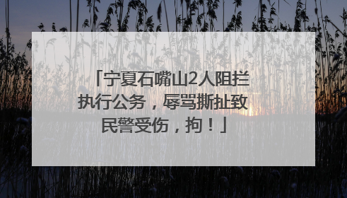 宁夏石嘴山2人阻拦执行公务，辱骂撕扯致民警受伤，拘！