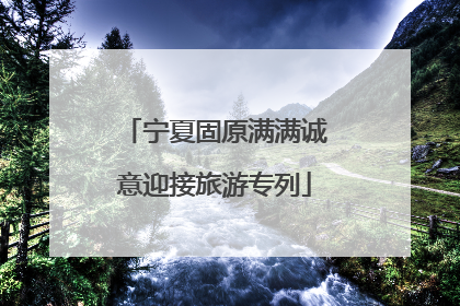 宁夏固原满满诚意迎接旅游专列