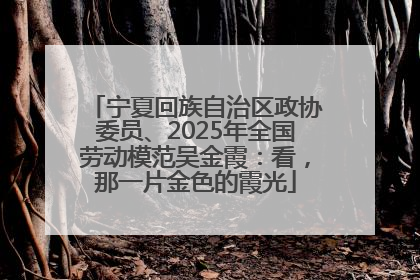 宁夏回族自治区政协委员、2025年全国劳动模范吴金霞：看，那一片金色的霞光